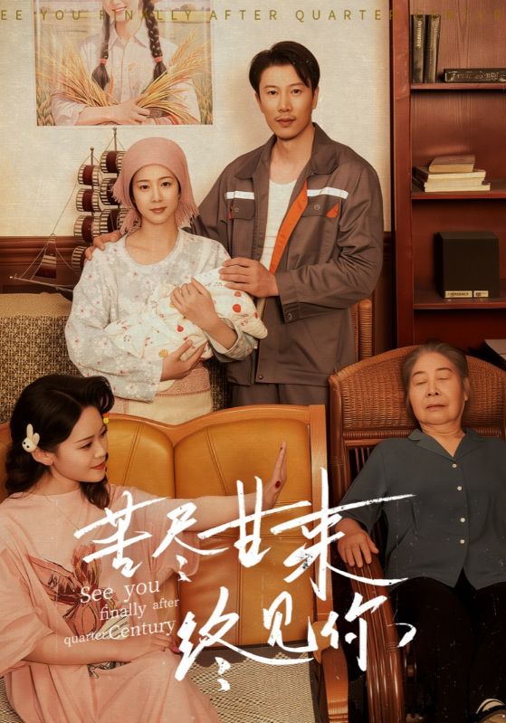 短剧《苦尽甘来终见你》 免费观看高清全集，大结局已完结  第1张