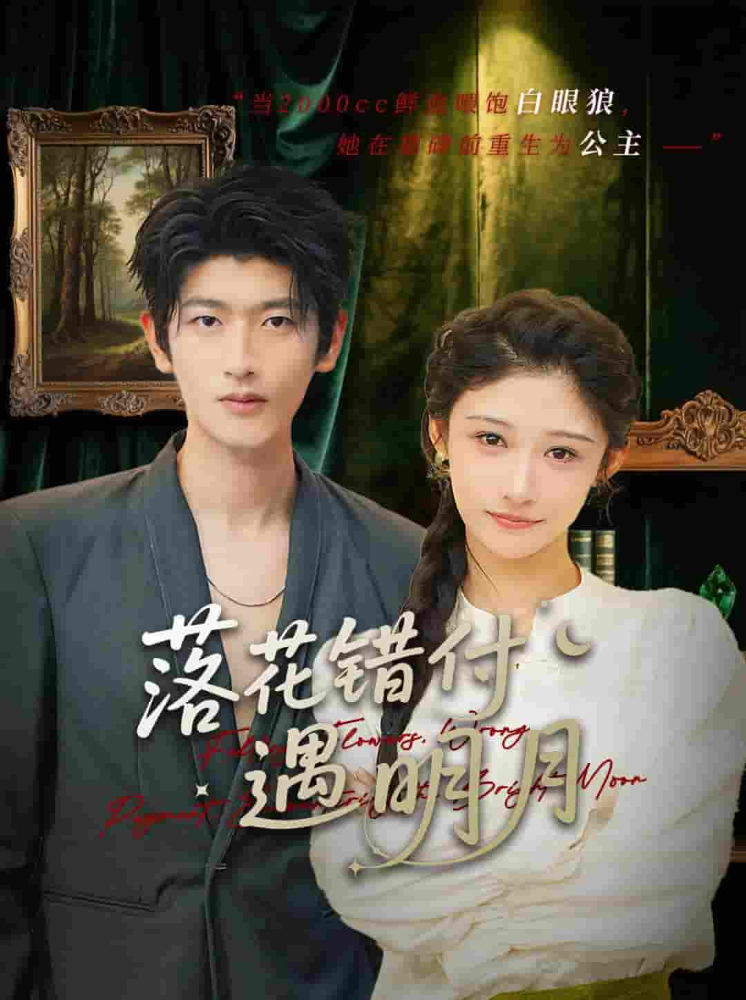 短剧《落花错付遇明月》 全集免费在线，高清画质，大结局震撼揭晓