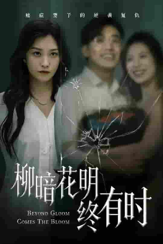 短剧《柳暗花明终有时》 完整版高清短剧免费，在线全集无限制享  第1张