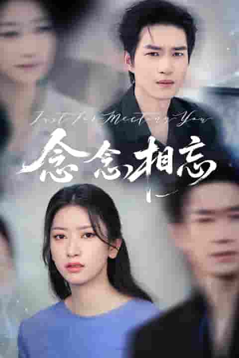 短剧《念念相忘&amp;焚心不候》 高清短剧全集在线，免费完整版观看无障碍