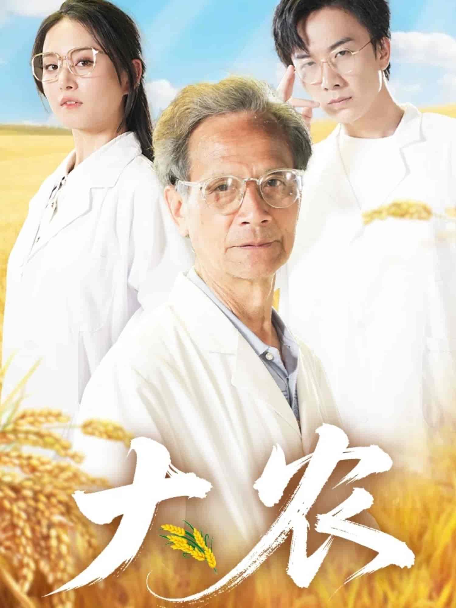 短剧《大农》 高清短剧全集免费观看，完整版在线无障碍  第1张