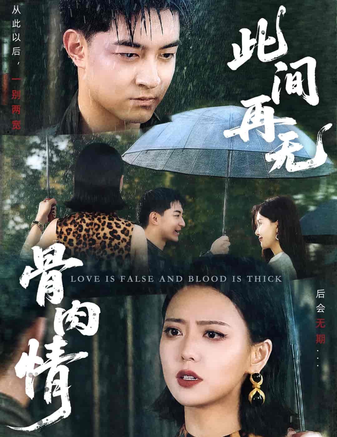 短剧《此间再无骨肉情》 短剧全集免费看，高清在线播放，大结局已完结！