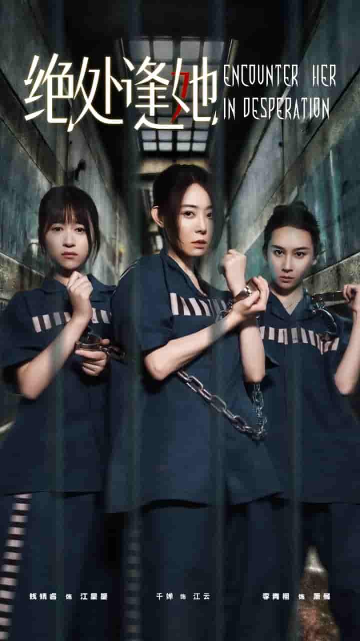 短剧《绝处逢她》 免费观看高清短剧，全集完整版在线无障碍
