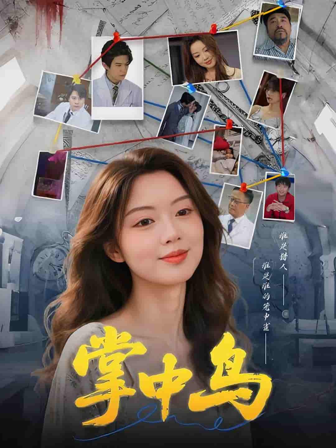 短剧《掌中鸟》 免费观看高清全集，大结局震撼来袭
