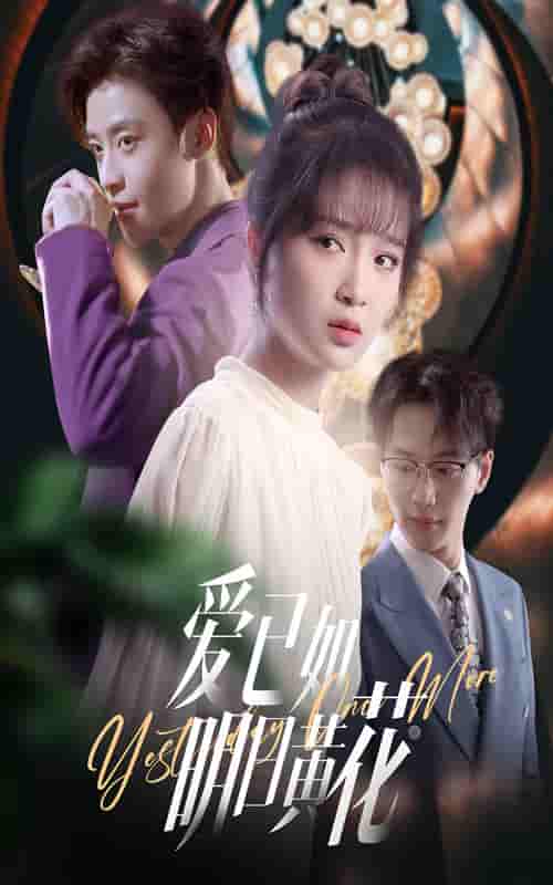 短剧《爱已如明日黄花》 高清短剧全集免费看，完整版在线无束缚随心享