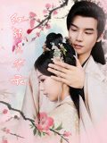 短剧《红颜风华录》 短剧全集免费看，高清在线播放，大结局已完结！