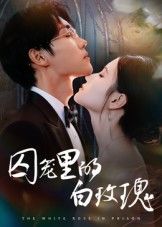短剧囚笼里的白玫瑰HD超高清全集,1080P沉浸式观影。看似完美的婚姻是华丽囚笼,纯白玫瑰在谎言与背叛中挣扎绽放。全集完整版在线观看,解锁人性深处的爱与救赎。  第1张 短剧囚笼里的白玫瑰HD超高清全集,1080P沉浸式观影。看似完美的婚姻是华丽囚笼,纯白玫瑰在谎言与背叛中挣扎绽放。全集完整版在线观看,解锁人性深处的爱与救赎。  第1张