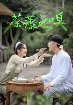 热门短剧荼蘼之嗅31集全集来袭！沈国洋、耿池苏主演，超清画质未删减版免费看！剧情高能不断，资源已备好，百度网盘、夸克网盘免费分享下载，一键收藏，随时追更～