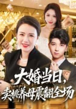 热门短剧大婚当日，卖桃养母震翻全场全集完整版实时更新！免费在线观看未删减版，大婚当日新娘街头卖桃养母，惊天反转震翻全场！百度网盘、夸克网盘免费资源分享下载，立即追更！