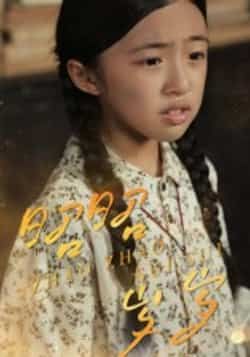 热门短剧昭昭岁岁持续热播！全集完整版免费在线观看，未删减高清版无广告，剧情全程高甜无注水。百度网盘、夸克网盘同步更新免费资源，支持在线播放与离线下载，追更党速来收藏！告别会员限制，轻松解锁极致追剧体验～  第1张