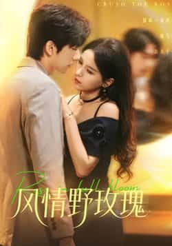 风情野玫瑰全集完整版免费无广告在线观看，未删减版高清资源，百度网盘、夸克网盘免费分享下载，畅看剧情无限制，资源链接随时获取，快来追更！  第1张