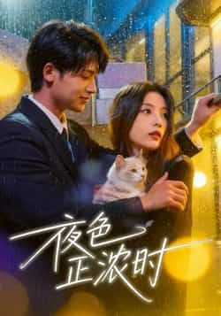 热门短剧夜色正浓时全集完整版实时更新,未删减版资源免费在线观看!百度网盘、夸克网盘免费资源同步分享下载,无需付费即可畅看全集,剧情紧凑无删减,快来收藏追更吧!  第1张 热门短剧夜色正浓时全集完整版实时更新,未删减版资源免费在线观看!百度网盘、夸克网盘免费资源同步分享下载,无需付费即可畅看全集,剧情紧凑无删减,快来收藏追更吧!  第1张