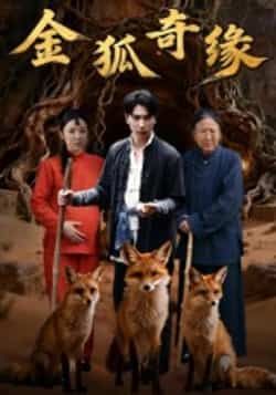 热门短剧金狐奇缘全集完整版免费无水印在线观看,未删减版资源高清流畅。百度网盘、夸克网盘免费资源同步分享下载,支持在线播放与离线缓存,轻松追剧无限制,完整剧情抢先看!
