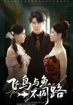热门短剧飞鸟与鱼不同路全集完整版免费无卡顿在线观看，未删减版资源清晰流畅，剧情精彩不跳戏。百度网盘、夸克网盘免费资源同步分享下载，无需会员即可获取全集，轻松追更，快来收藏观看吧！  第1张