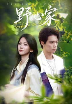 热门短剧野心家全集完整版免费看！未删减无水印资源，在线播放流畅，百度网盘、夸克网盘免费分享下载，支持多平台追剧，喜欢的小伙伴速速收藏，轻松追更不迷路～