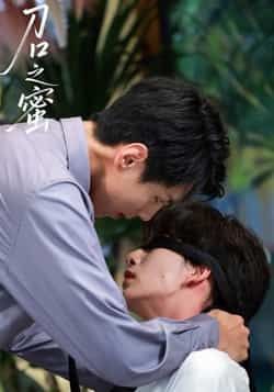 热门短剧刀口之蜜全集完整版免费看!未删减版高清在线观看,百度网盘、夸克网盘资源免费分享下载,无需等待,一键获取全集,畅看精彩剧情,资源齐全,赶紧收藏起来! 第1张 热门短剧刀口之蜜全集完整版免费看!未删减版高清在线观看,百度网盘、夸克网盘资源免费分享下载,无需等待,一键获取全集,畅看精彩剧情,资源齐全,赶紧收藏起来! 第1张