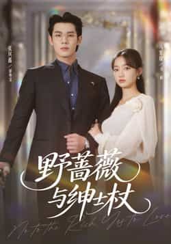 热门短剧野蔷薇与绅士杖全集完整版免费无卡顿在线观看，未删减版资源来袭！百度网盘、夸克网盘免费资源分享下载，高清播放流畅，剧情精彩不断，快来获取完整资源，沉浸式观看这场浪漫故事。  第1张