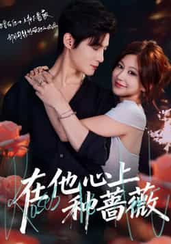 热门短剧《在他心上种蔷薇》 最新全集完整版免费在线观看播放未删减版资源，短剧百度网盘夸克网盘免费资源分享下载  第1张