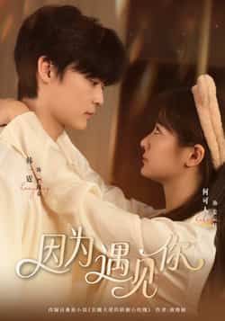 热门短剧因为遇见你全集完整版已更新完毕!支持免费在线观看播放,未删减版资源高清呈现,剧情无删减更过瘾。百度网盘、夸克网盘免费资源同步分享下载,无需付费即可畅看全剧,喜欢的朋友速速收藏!