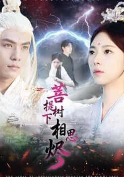 热门短剧菩提树下相思烬全集完整版免费稳定在线观看，未删减版资源清晰无广告，百度网盘、夸克网盘免费分享下载，支持多设备播放，剧情高甜虐恋，轻松追更无卡顿，资源稳定更新，快来获取观看吧！