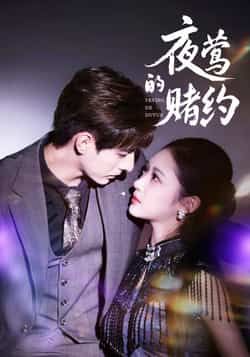 热门短剧夜莺的赌约全集完整版极速免费在线观看，未删减版高清资源上线！百度网盘、夸克网盘免费资源同步分享下载，支持在线播放与离线缓存，全集无广告畅看，喜欢的小伙伴速来获取资源，精彩剧情不错过！